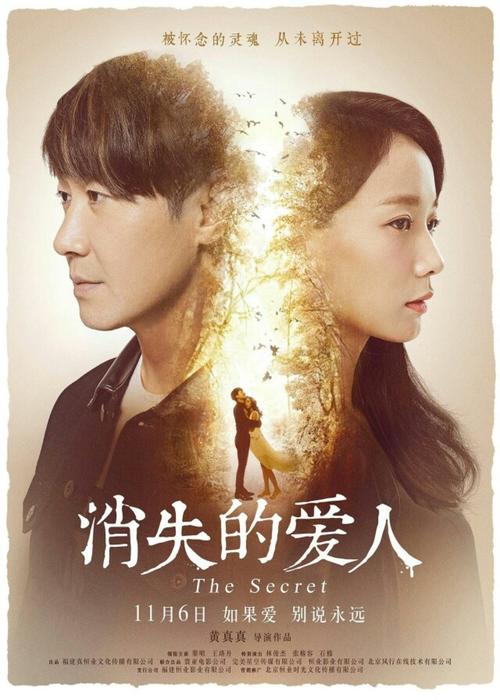 哪里可以做假恒丰银行转账取款小票